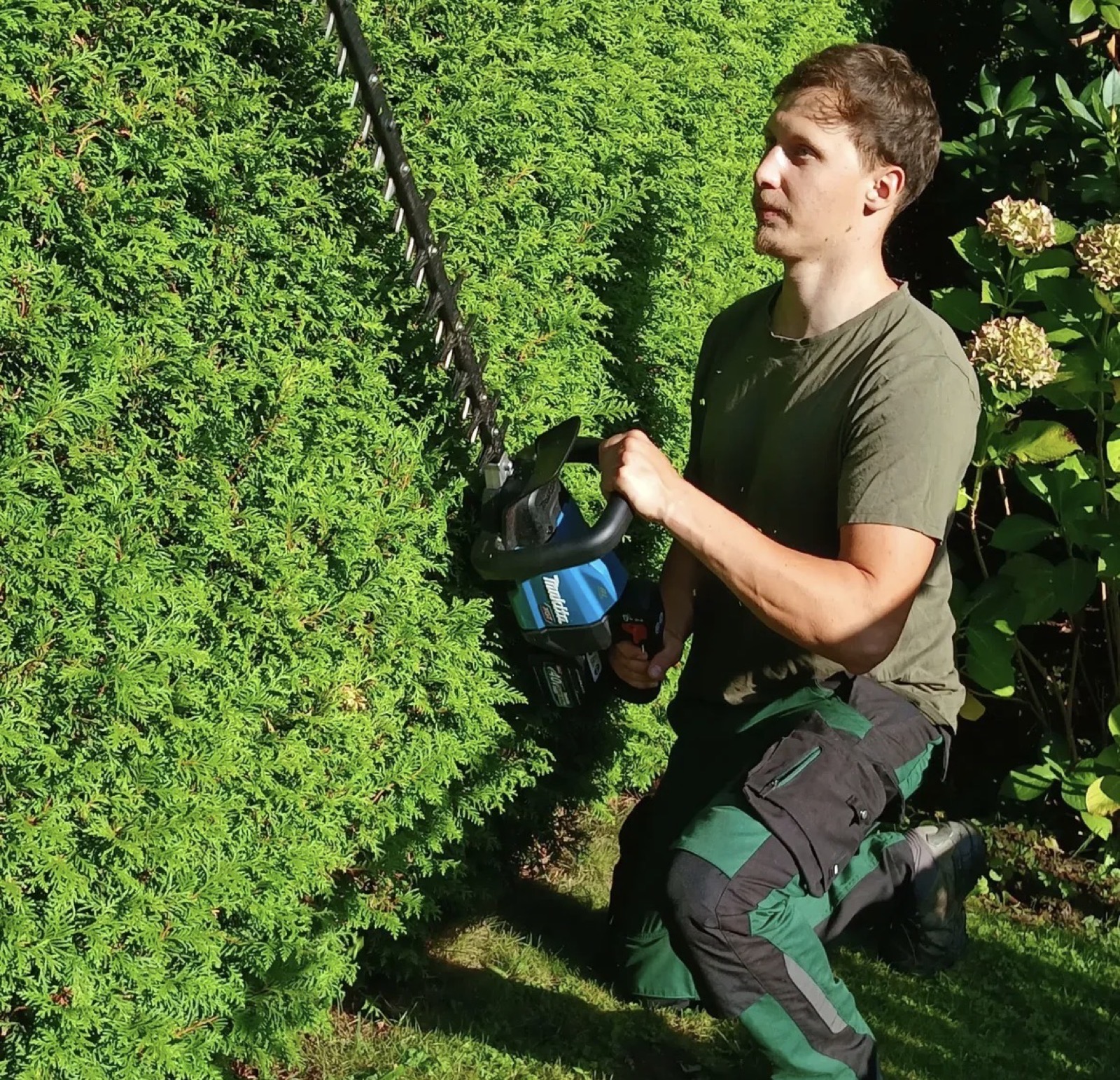 Heckenschnitt mit Akku-Heckenschere